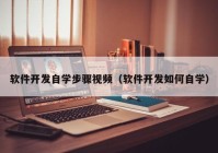 软件开发自学步骤视频（软件开发如何自学）