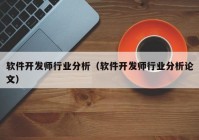 软件开发师行业分析（软件开发师行业分析论文）