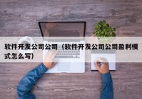 软件开发公司公司（软件开发公司公司盈利模式怎么写）