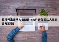 软件开发团队人员配置（软件开发团队人员配置及薪资）