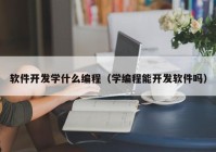 软件开发学什么编程（学编程能开发软件吗）