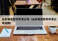山东锦池软件开发公司（山东锦池软件开发公司招聘）