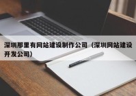 深圳那里有网站建设制作公司（深圳网站建设开发公司）