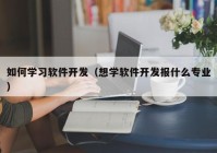 如何学习软件开发（想学软件开发报什么专业）