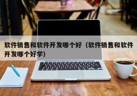 软件销售和软件开发哪个好（软件销售和软件开发哪个好学）