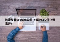 长沙专业seo优化公司（长沙SEO优化哪家好）