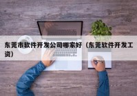 东莞市软件开发公司哪家好（东莞软件开发工资）