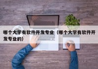 哪个大学有软件开发专业（哪个大学有软件开发专业的）