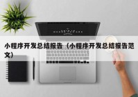 小程序开发总结报告（小程序开发总结报告范文）