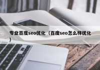 专业百度seo优化（百度seo怎么样优化）