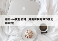 湖南seo优化公司（湖南有实力SEO优化哪家好）