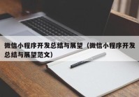 微信小程序开发总结与展望（微信小程序开发总结与展望范文）