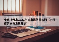 小程序开发2022年的发展前景如何（小程序的未来发展规划）