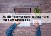 A公司是一家软件开发企业（a公司是一家相对较大的软件和硬件企业）