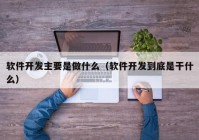 软件开发主要是做什么（软件开发到底是干什么）