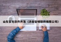 山东智亮软件开发（济南智明软件有限公司）