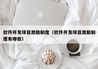 软件开发项目激励制度（软件开发项目激励制度有哪些）