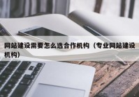 网站建设需要怎么选合作机构（专业网站建设机构）