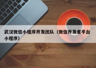 武汉微信小程序开发团队（微信开发者平台 小程序）