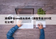 湖南平台seo优化技术（湖南专业SEO优化公司）