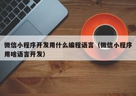 微信小程序开发用什么编程语言（微信小程序用啥语言开发）