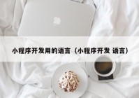 小程序开发用的语言（小程序开发 语言）