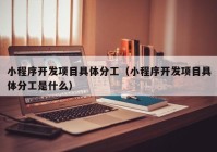 小程序开发项目具体分工（小程序开发项目具体分工是什么）