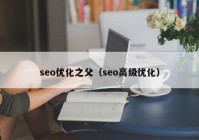 seo优化之父（seo高级优化）