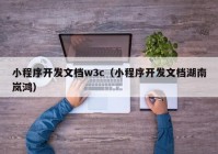 小程序开发文档w3c（小程序开发文档湖南岚鸿）