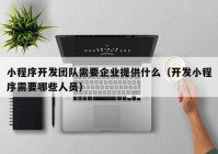 小程序开发团队需要企业提供什么（开发小程序需要哪些人员）