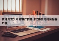 软件开发公司的客户群体（软件公司的目标客户群）