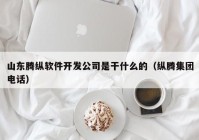 山东腾纵软件开发公司是干什么的（纵腾集团电话）