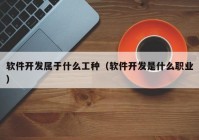 软件开发属于什么工种（软件开发是什么职业）