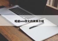 昭通seo优化的简单介绍