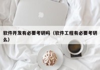 软件开发有必要考研吗（软件工程有必要考研么）