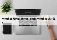 小程序开发代码是什么（微信小程序代码开发）