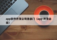 app软件开发公司各部门（app 开发企业）