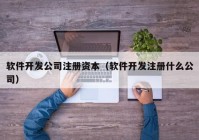 软件开发公司注册资本（软件开发注册什么公司）