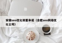 安徽seo优化郑重承诺（合肥seo网络优化公司）