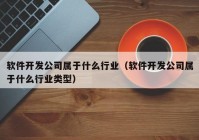 软件开发公司属于什么行业（软件开发公司属于什么行业类型）