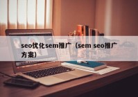 seo优化sem推广（sem seo推广方案）