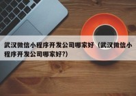 武汉微信小程序开发公司哪家好（武汉微信小程序开发公司哪家好?）