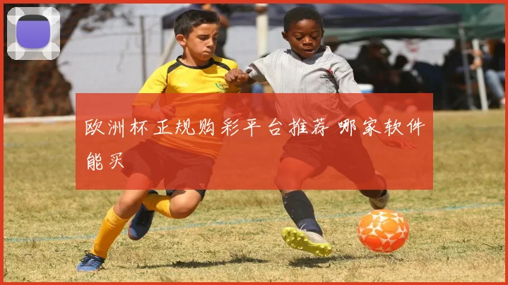 欧洲杯正规购彩平台推荐 哪家软件能买
