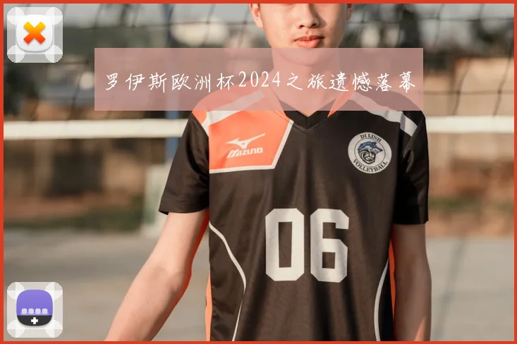 罗伊斯欧洲杯2024之旅遗憾落幕