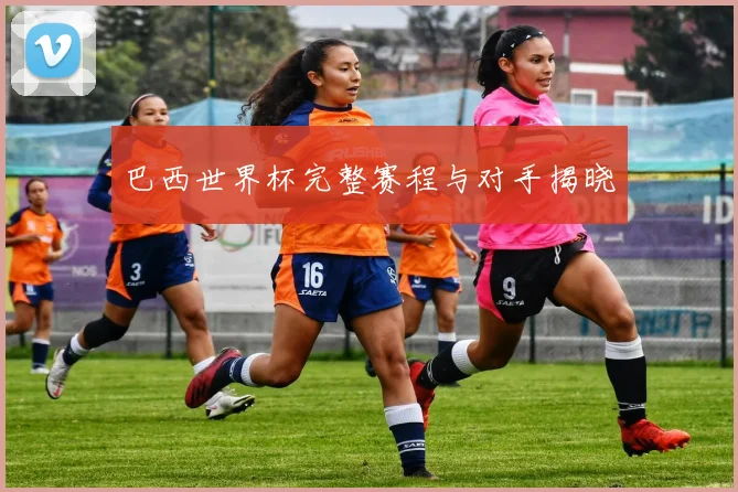 巴西世界杯完整赛程与对手揭晓