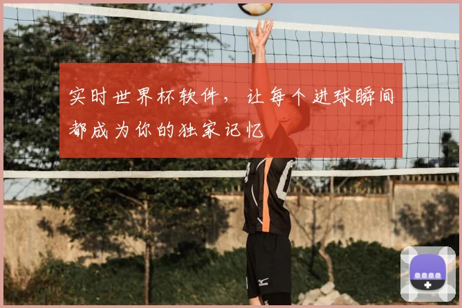 实时世界杯软件，让每个进球瞬间都成为你的独家记忆