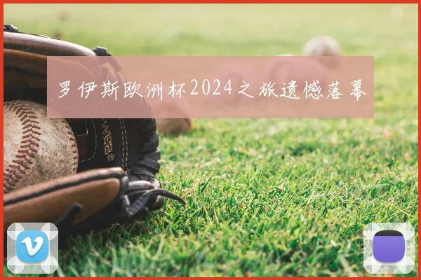 罗伊斯欧洲杯2024之旅遗憾落幕